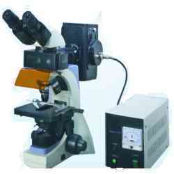 Fluorescent Microscope