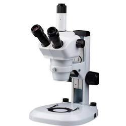 Stereo Microscope